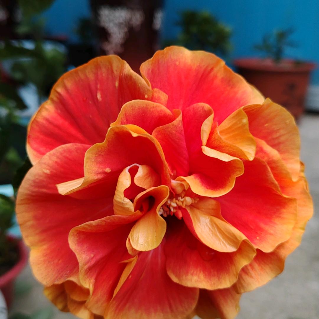 桐城宏达包装厂219779119342