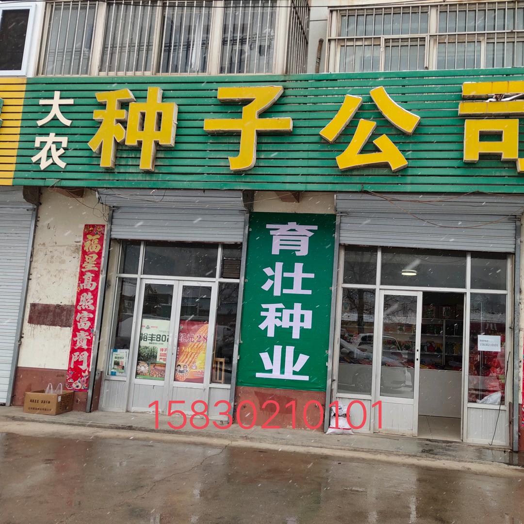 大农种子.:*