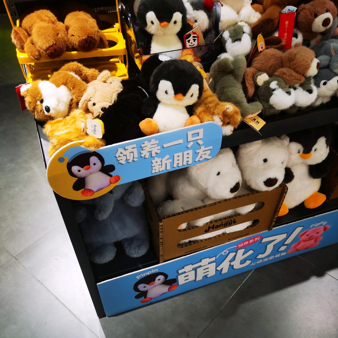 利君宠物店