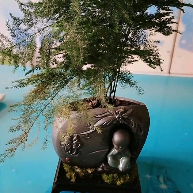 若无相欠，怎能相遇