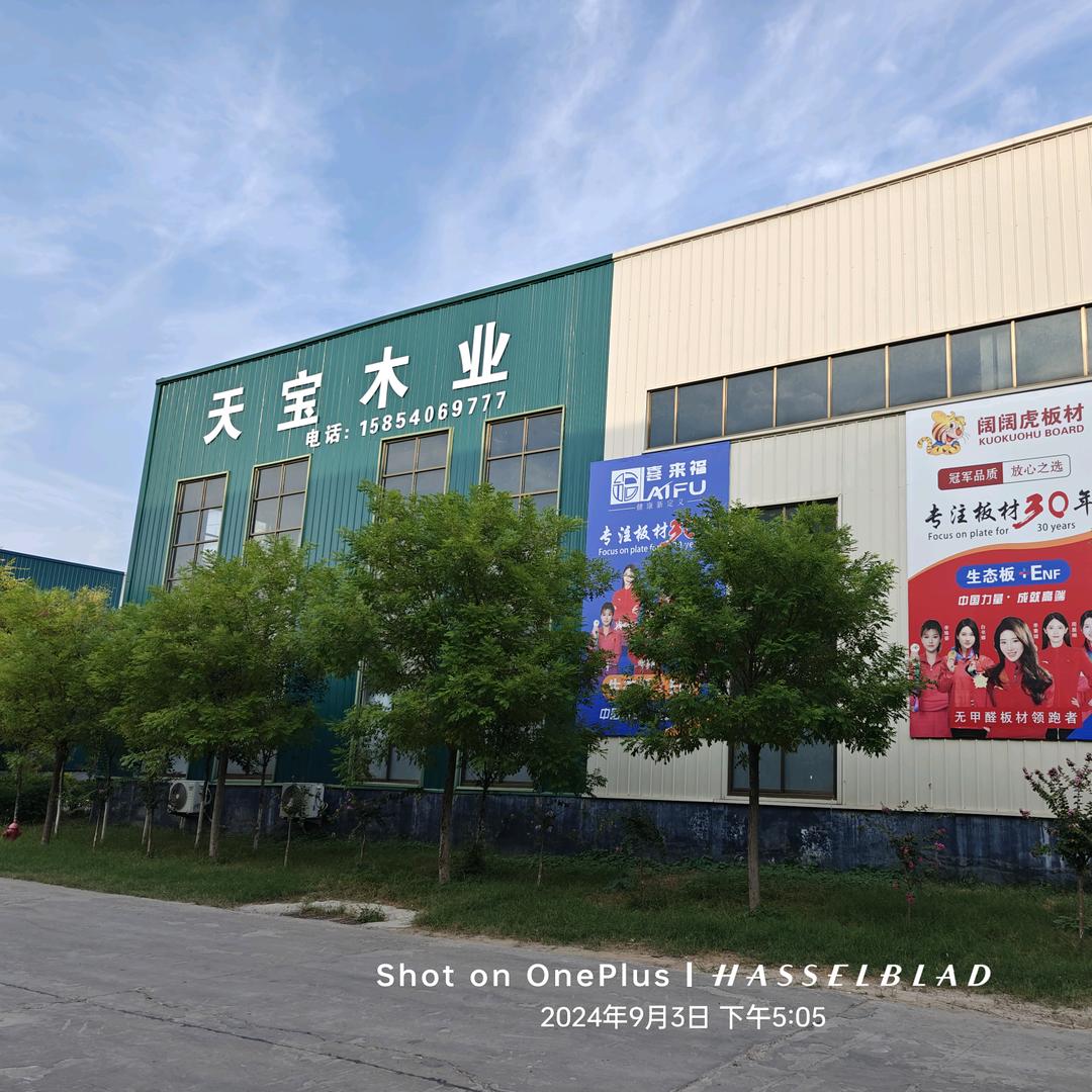 天宝木业有限公司喜来福板材好太太