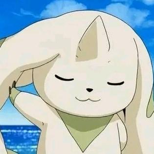 迷途小熊猫