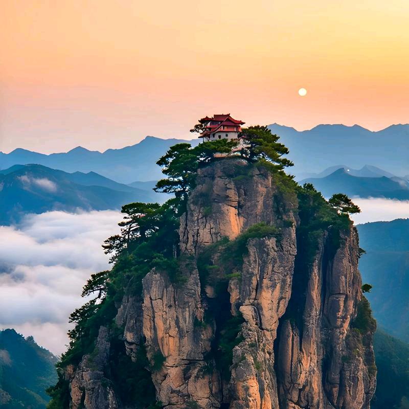 月光下的凤尾竹