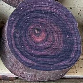 海南黄花梨（龙羽阁）