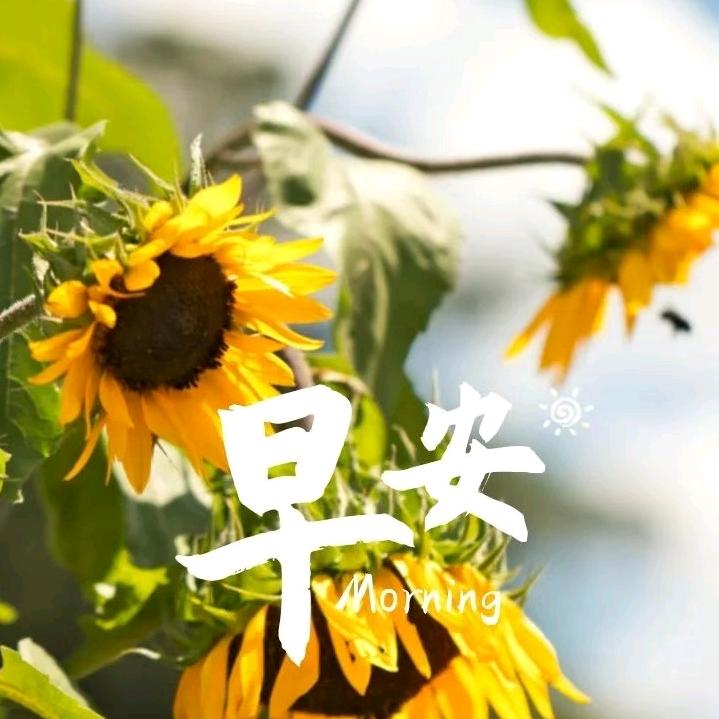 爱上音乐的小张