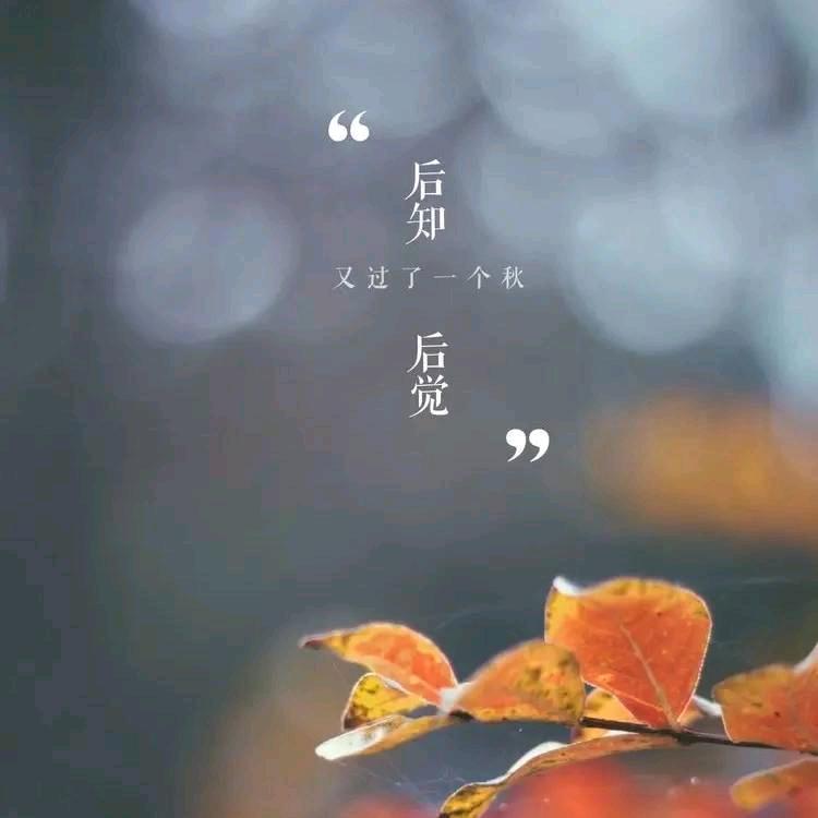 后知后觉🌿🌿🌿