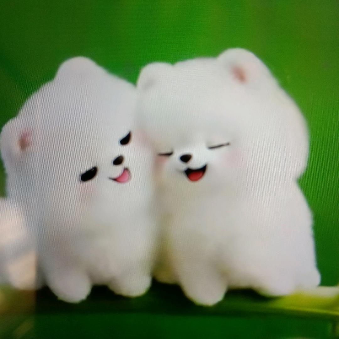 曌