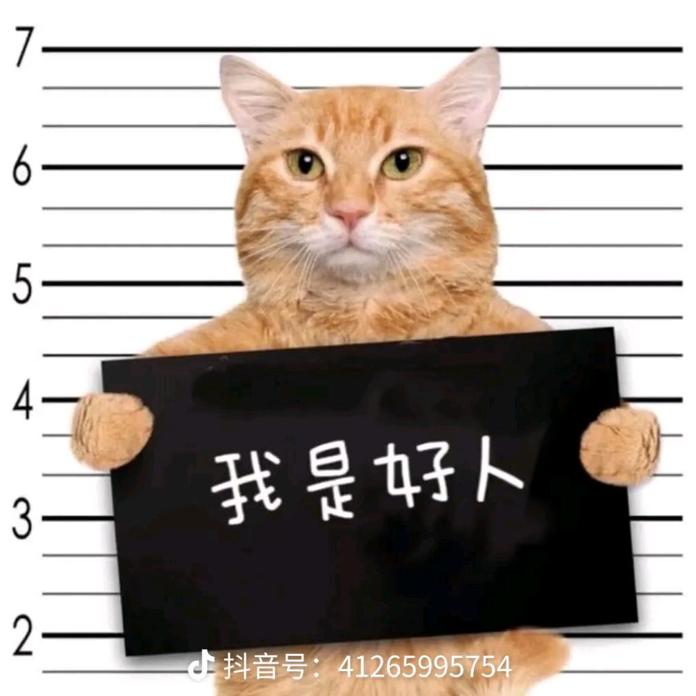一颗豆