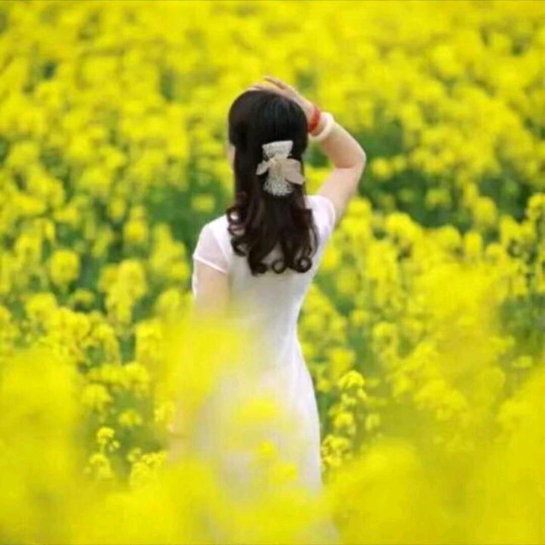 💜⃟🕊紫叶