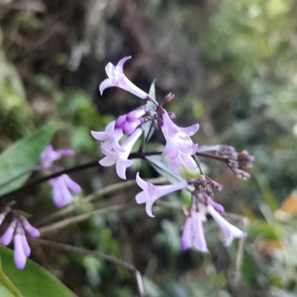 🌹ℳঞ余生 ໌້ᮨ꧔ꦿ᭄有你🌷