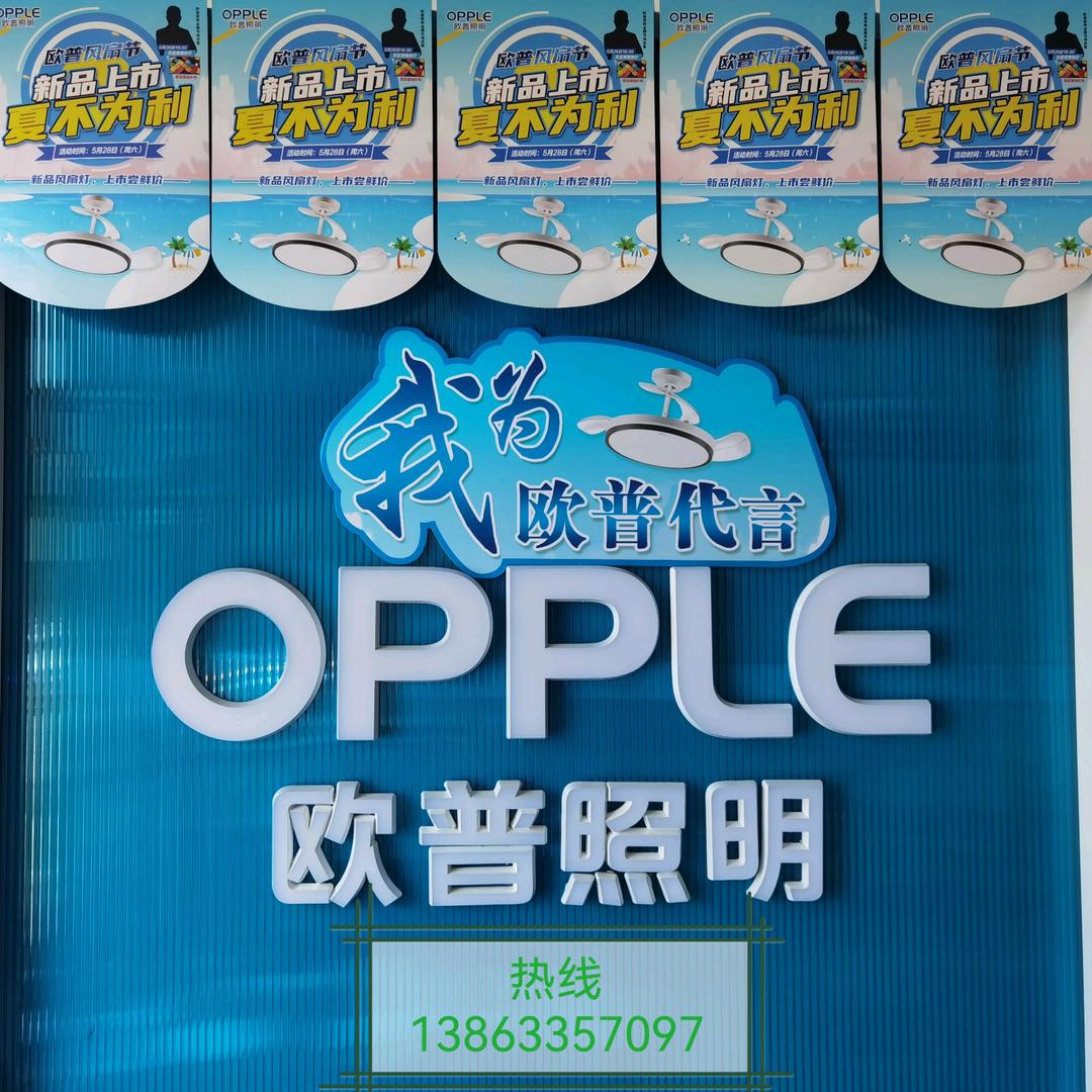 日照东晓照明有限责任公司