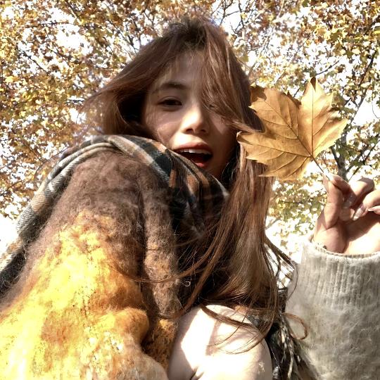 摇摇七喜⌯'Ⱉ'⌯