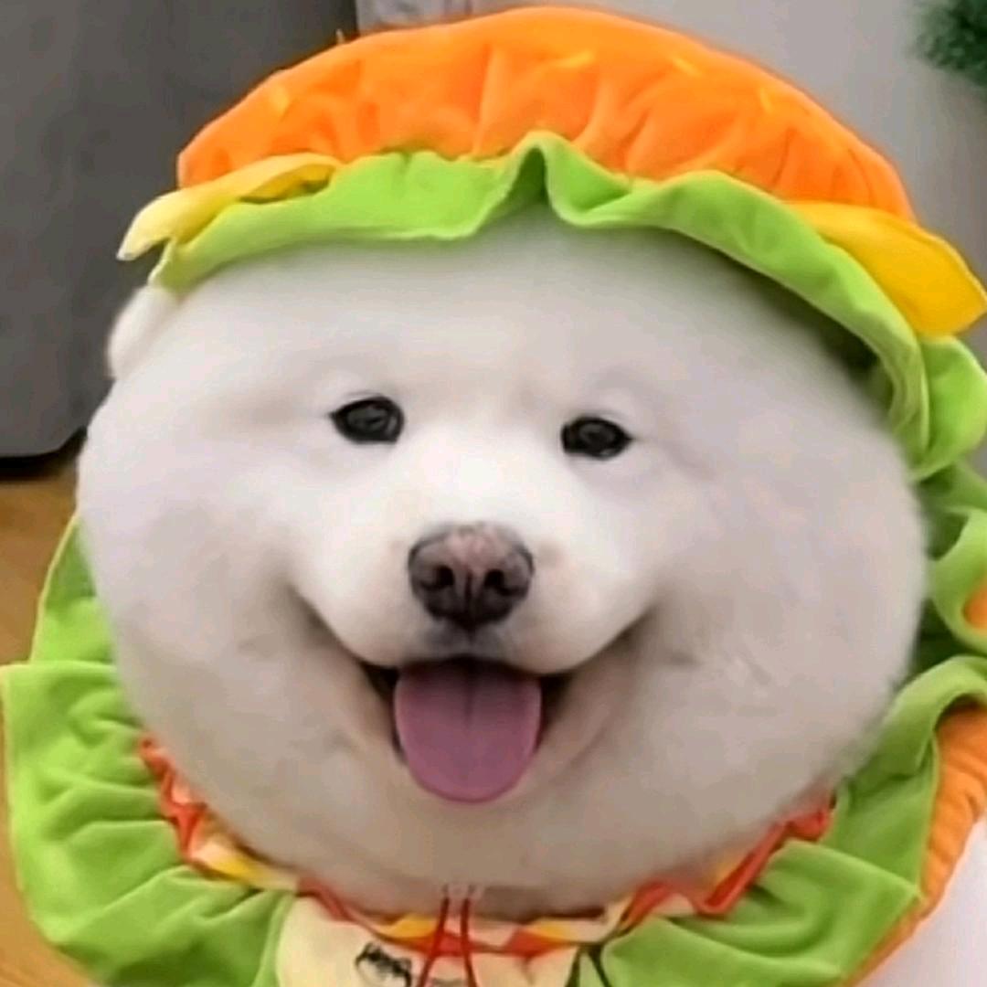 折磨队友的人