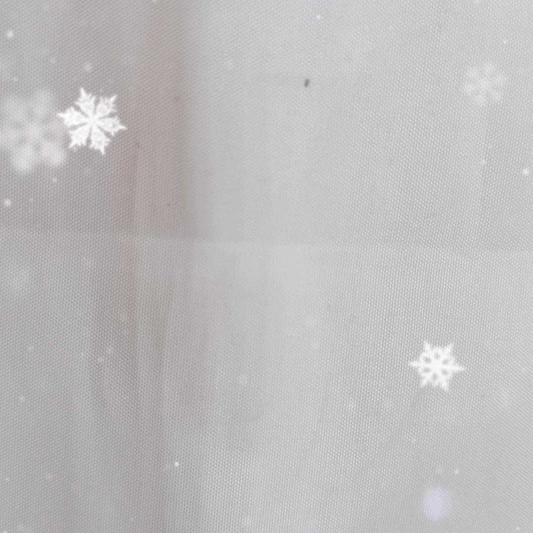 迷蝶
