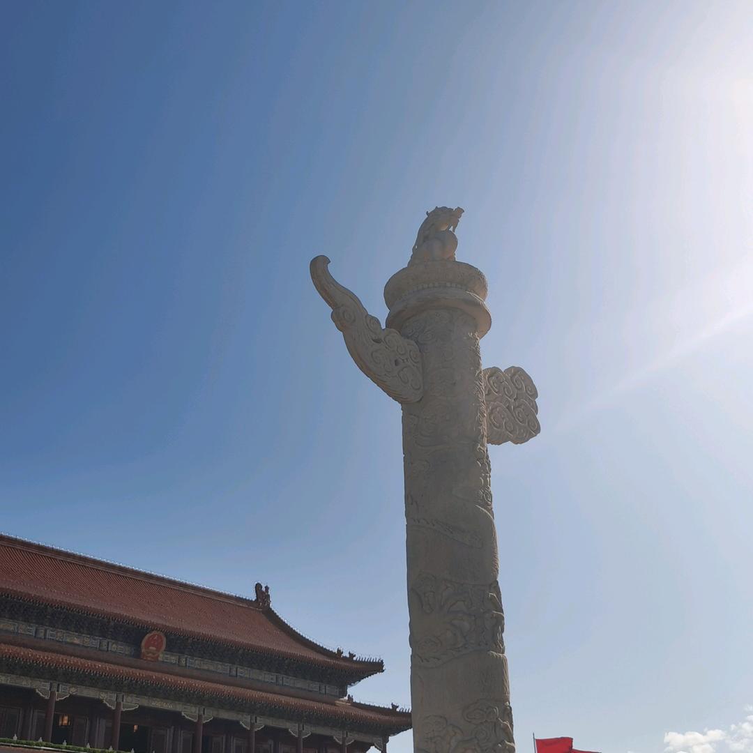 嘟嘟（森林王）