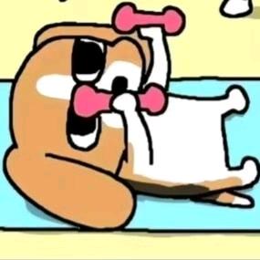 江月月