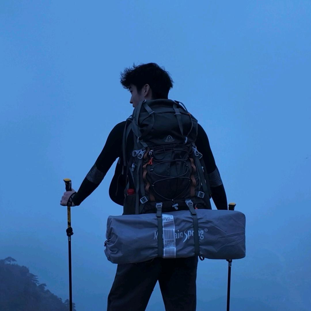 🌿树叶
