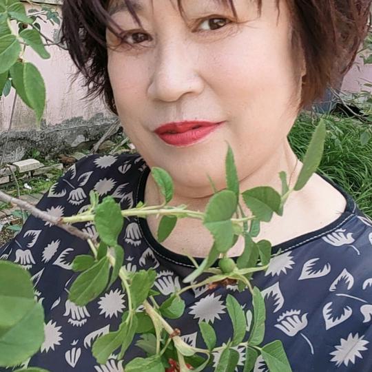 何仙姑