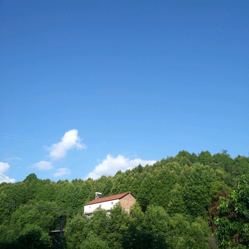 活