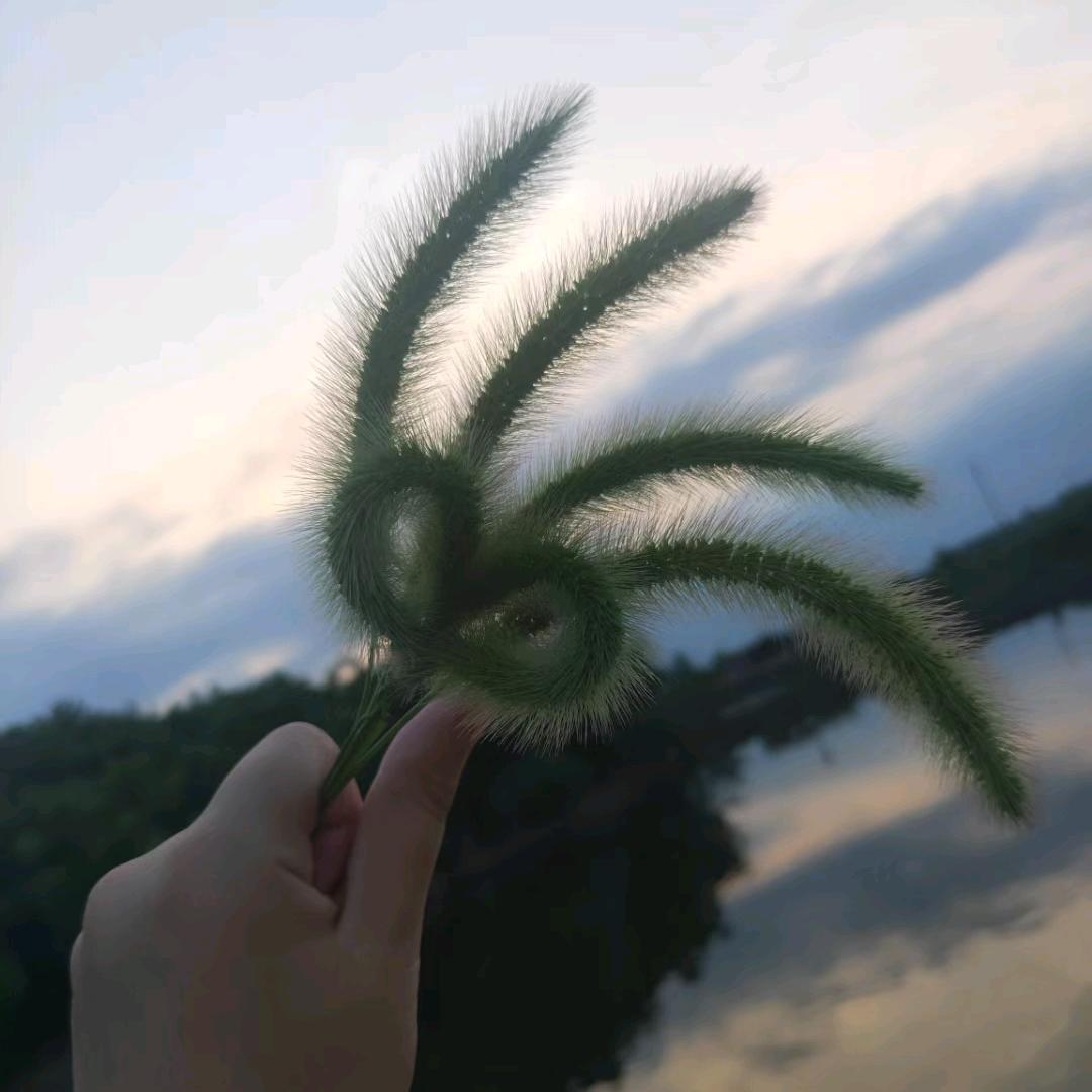 ⁷🫧•͈ᴗ⁃͈★꧂