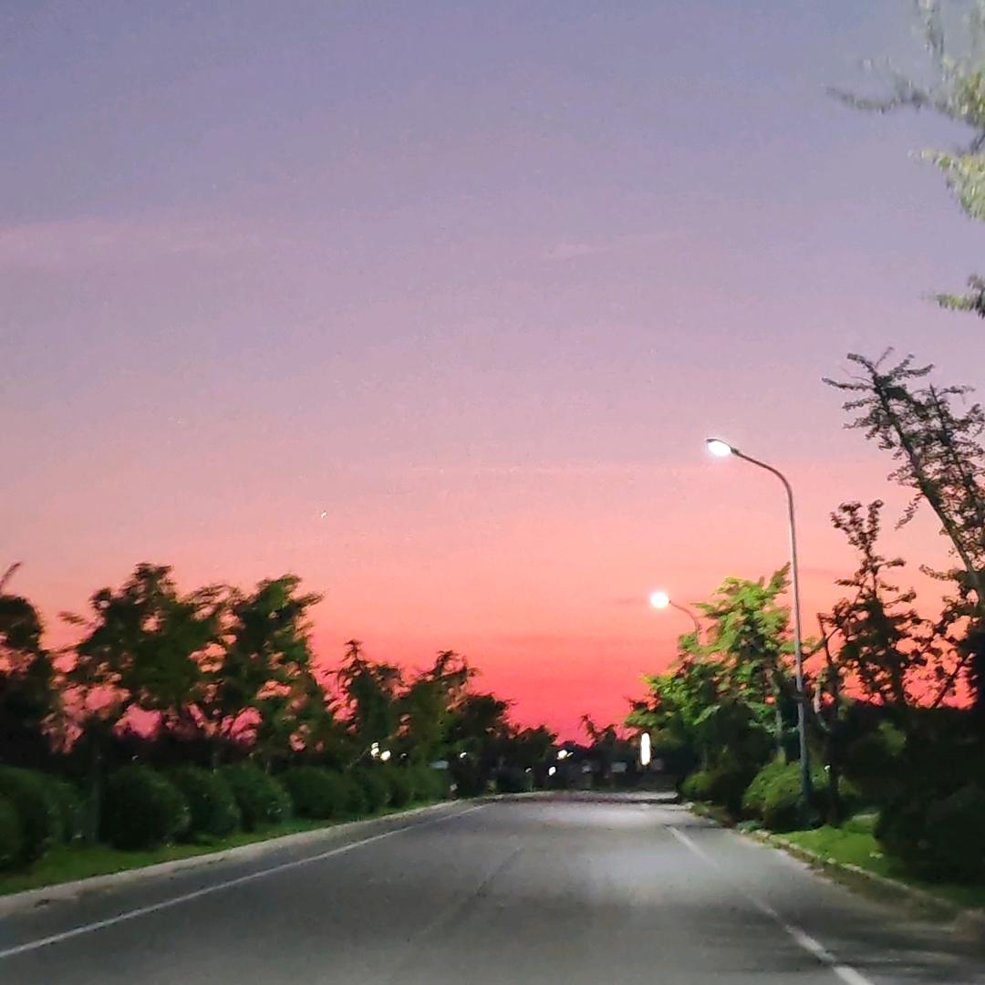 锦鲤