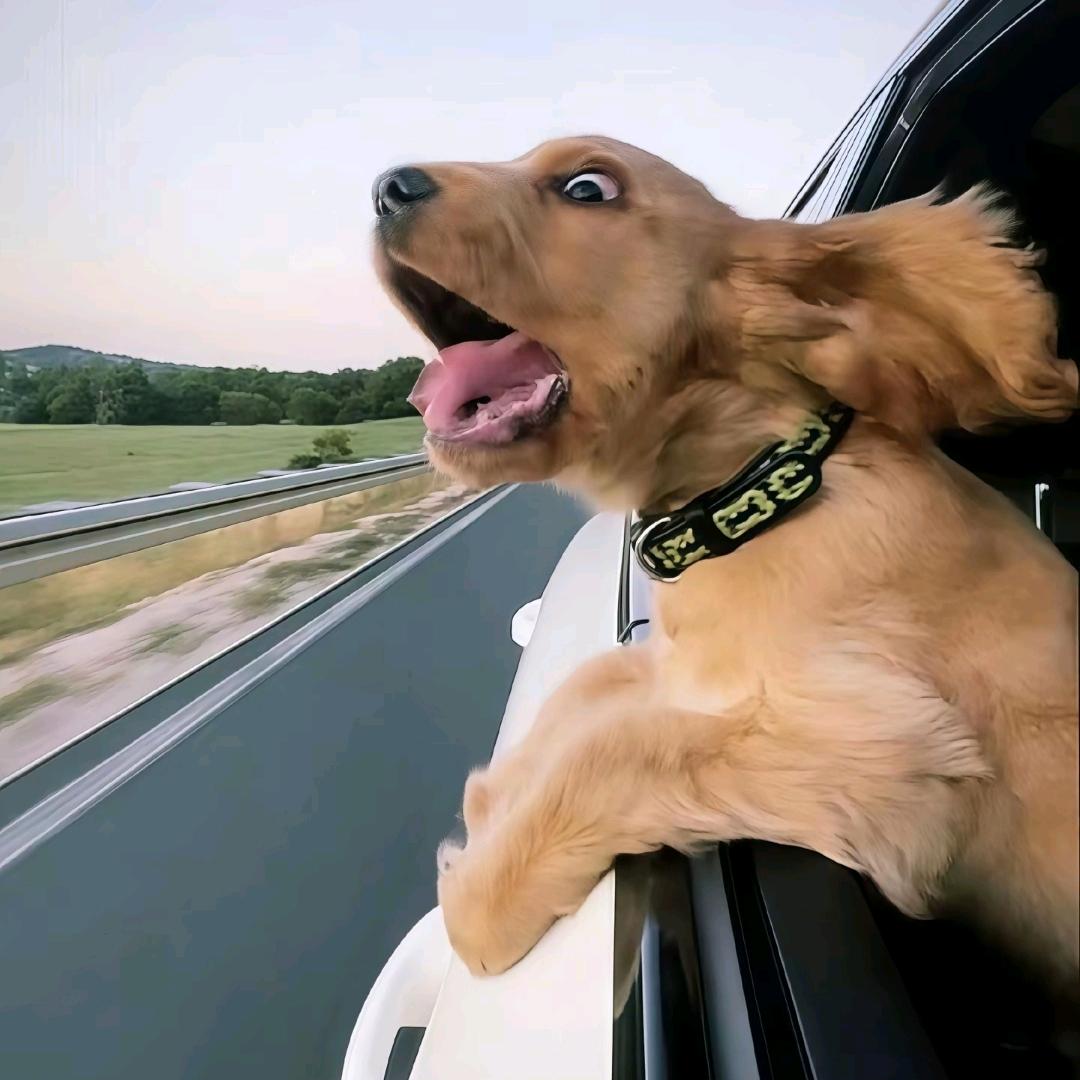 我要吃一辈子红酒雪梨