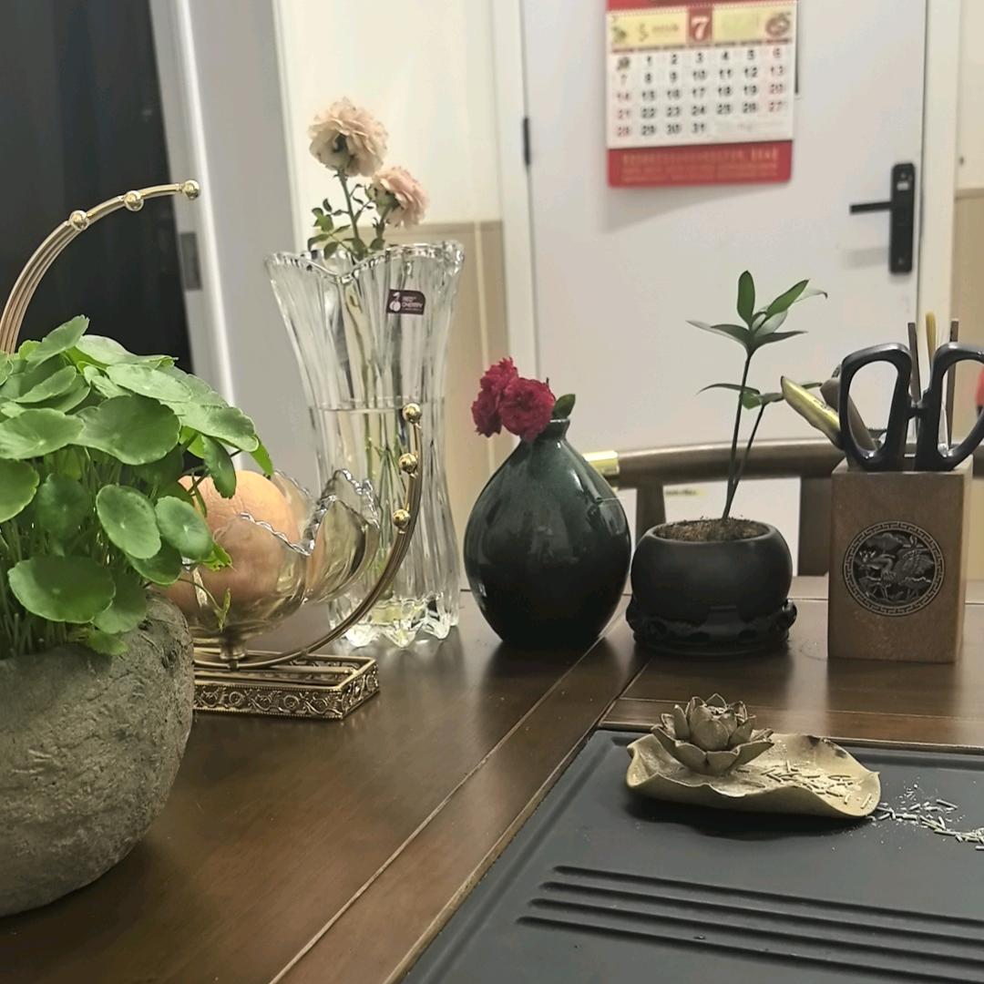 芷雅
