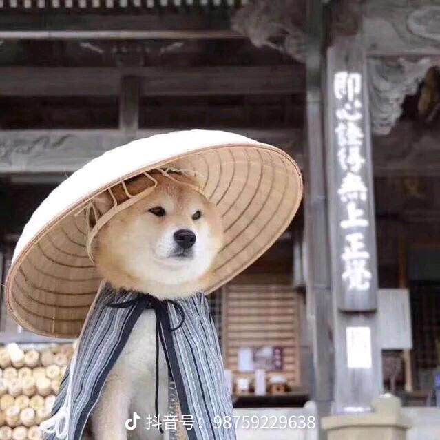 无谓@