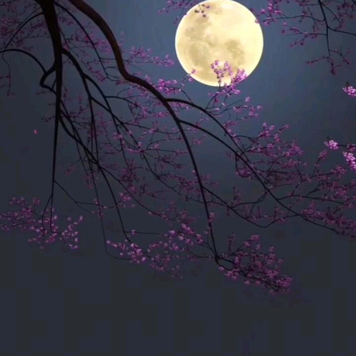 多味人生