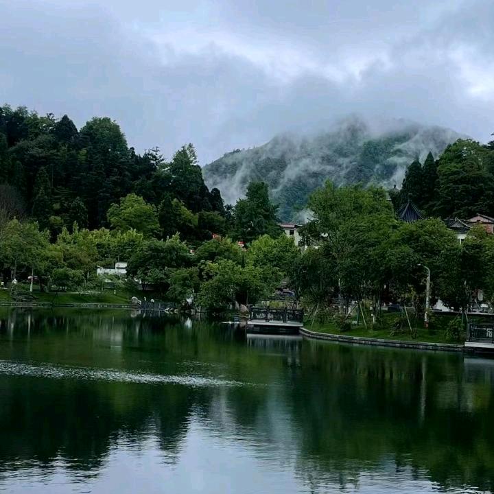 用户9194849440116