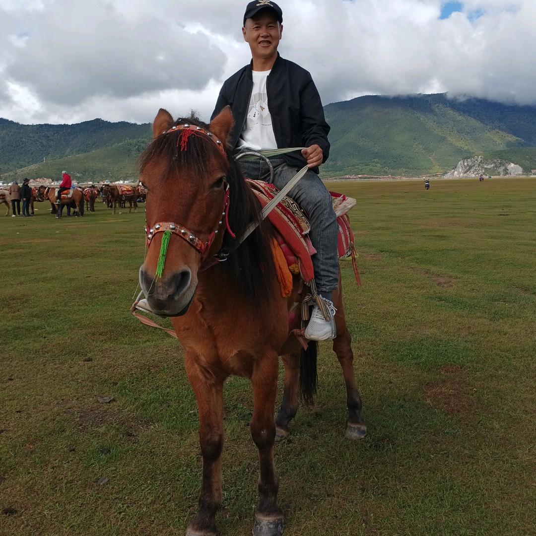 （郑）现哥（康里）