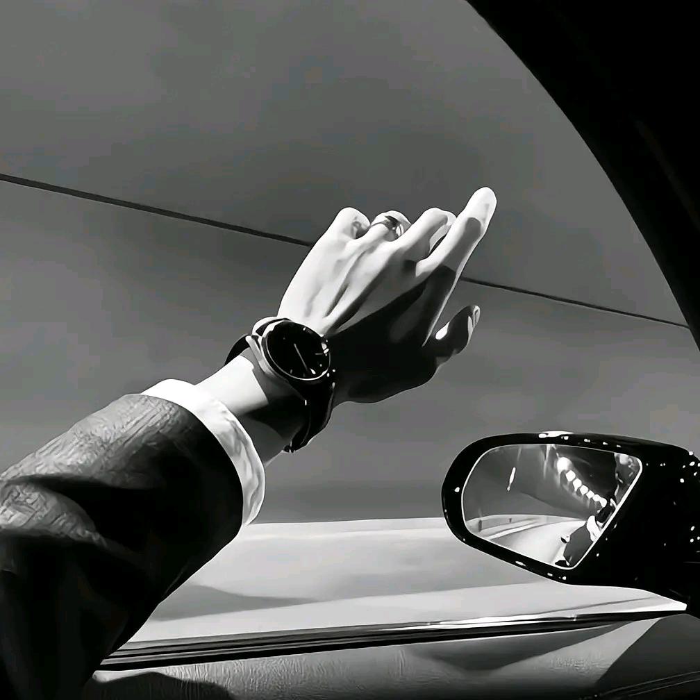 玩车的张先森