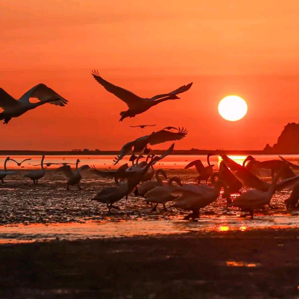 温州佳佳优选女鞋店