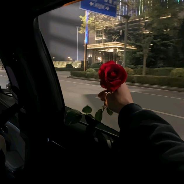 哥无安管