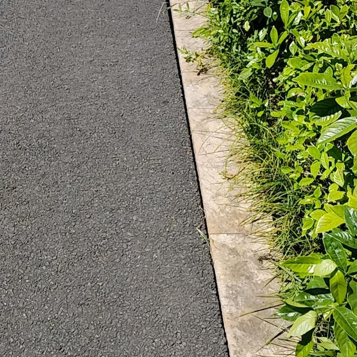 快乐台州人花花世界小