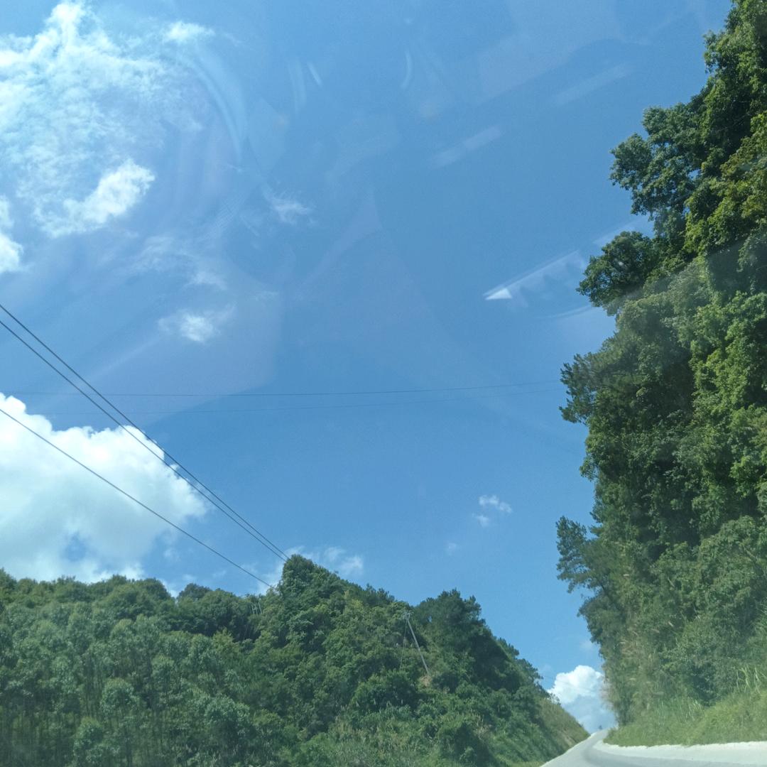 沉默