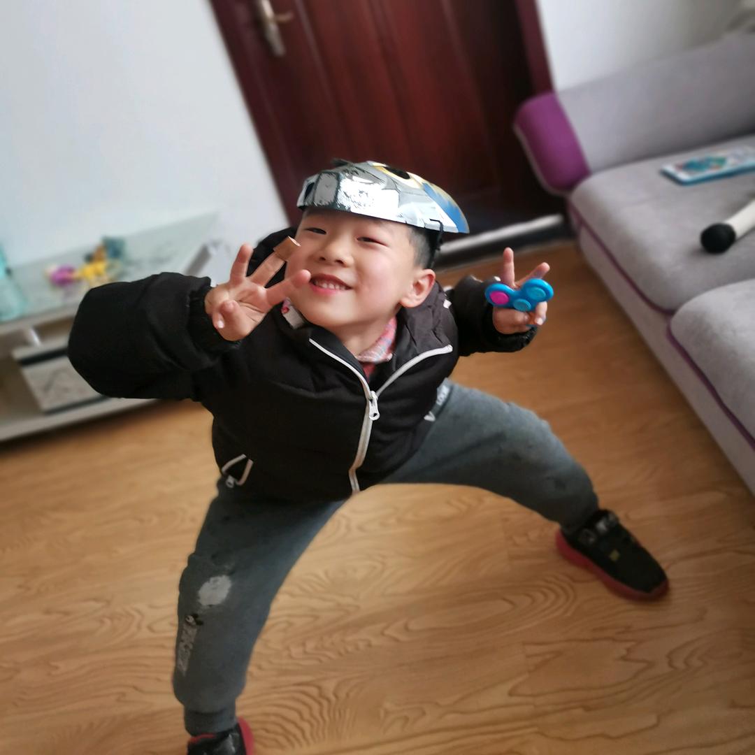虎刚十段