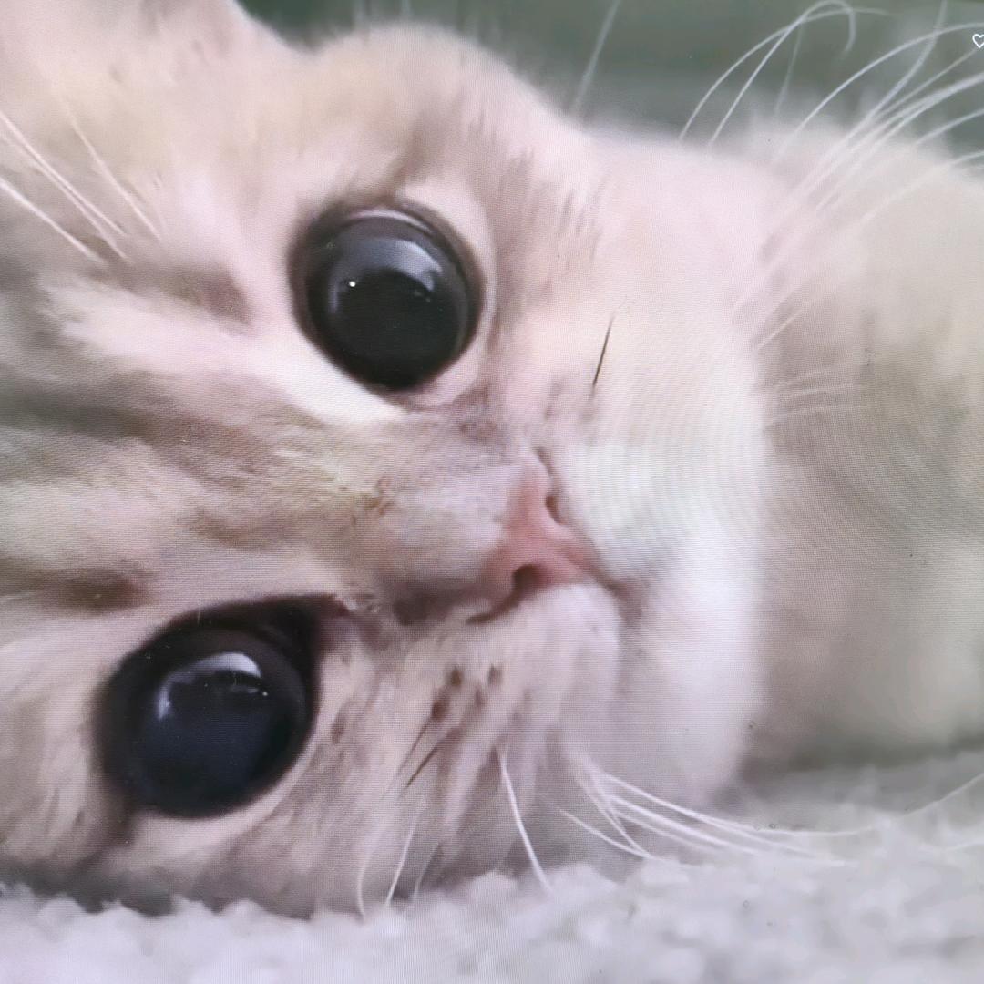 夏末♥