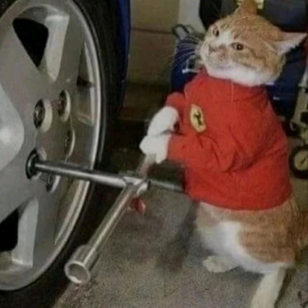 撸车的Li