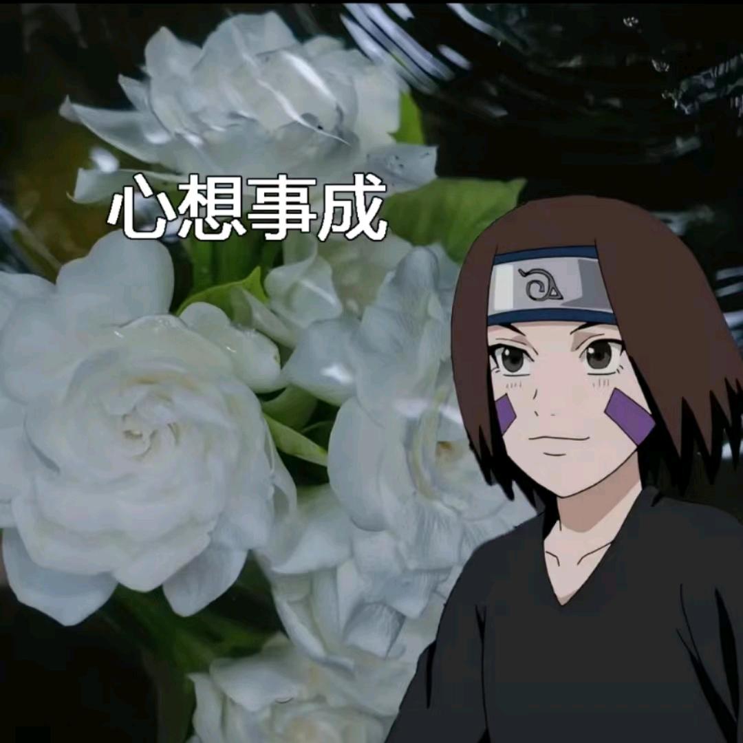 吧裤子剪碎做个冷库的人