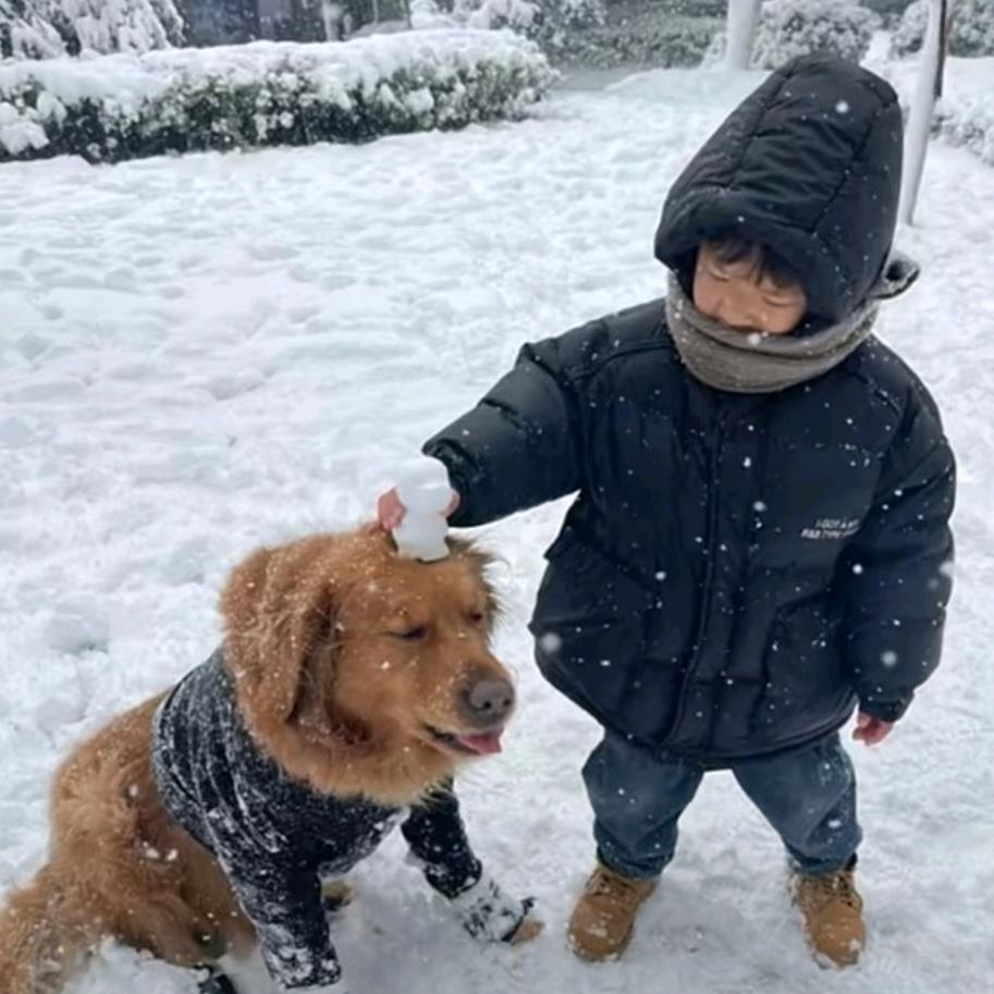 别让我拿出真正的实力