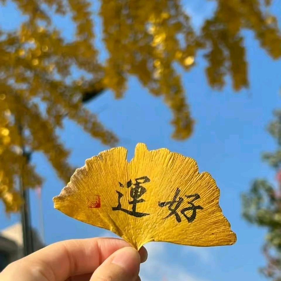 dayuyuxiaoyu14