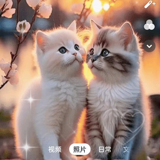 张家李家排行老三