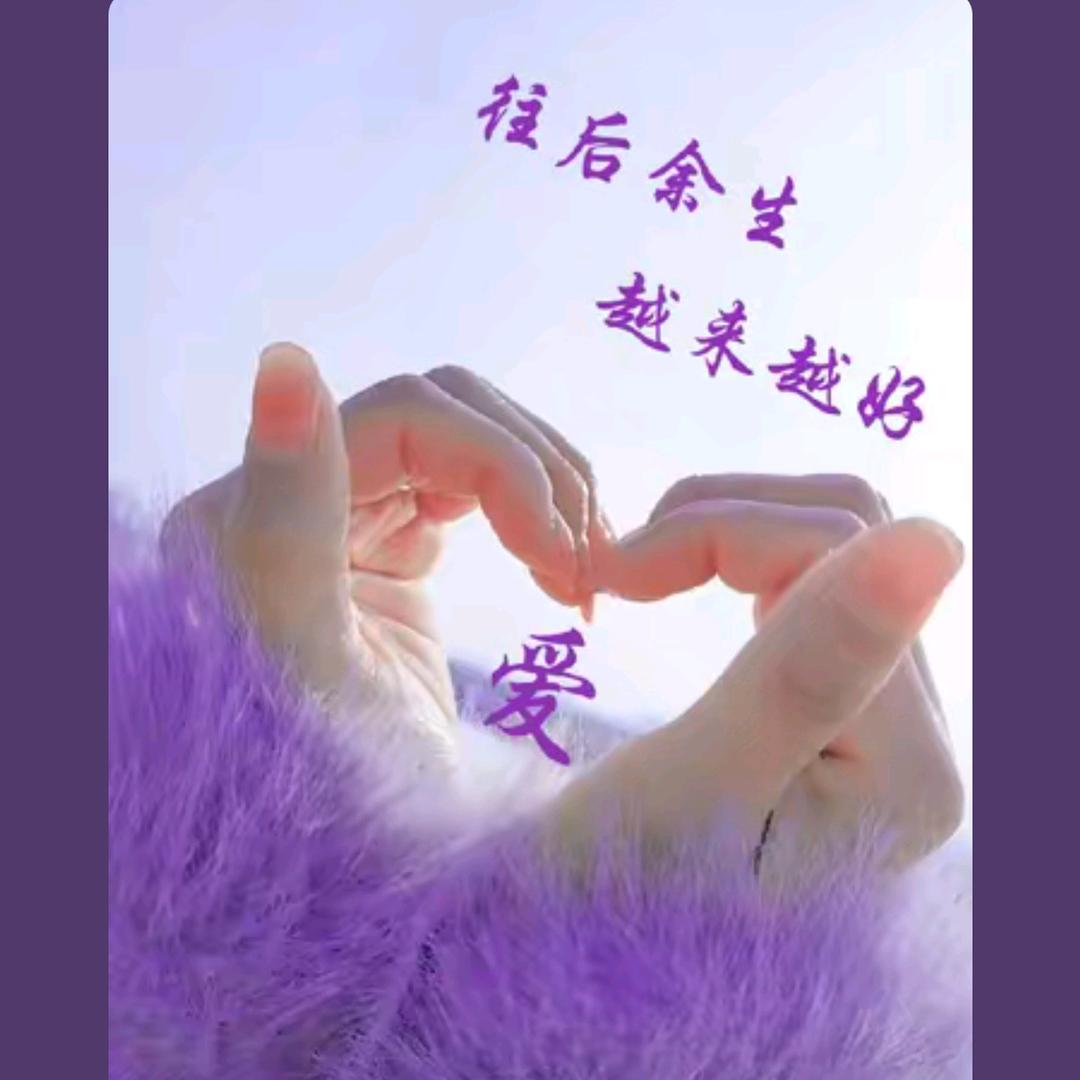 楠庭叙88号