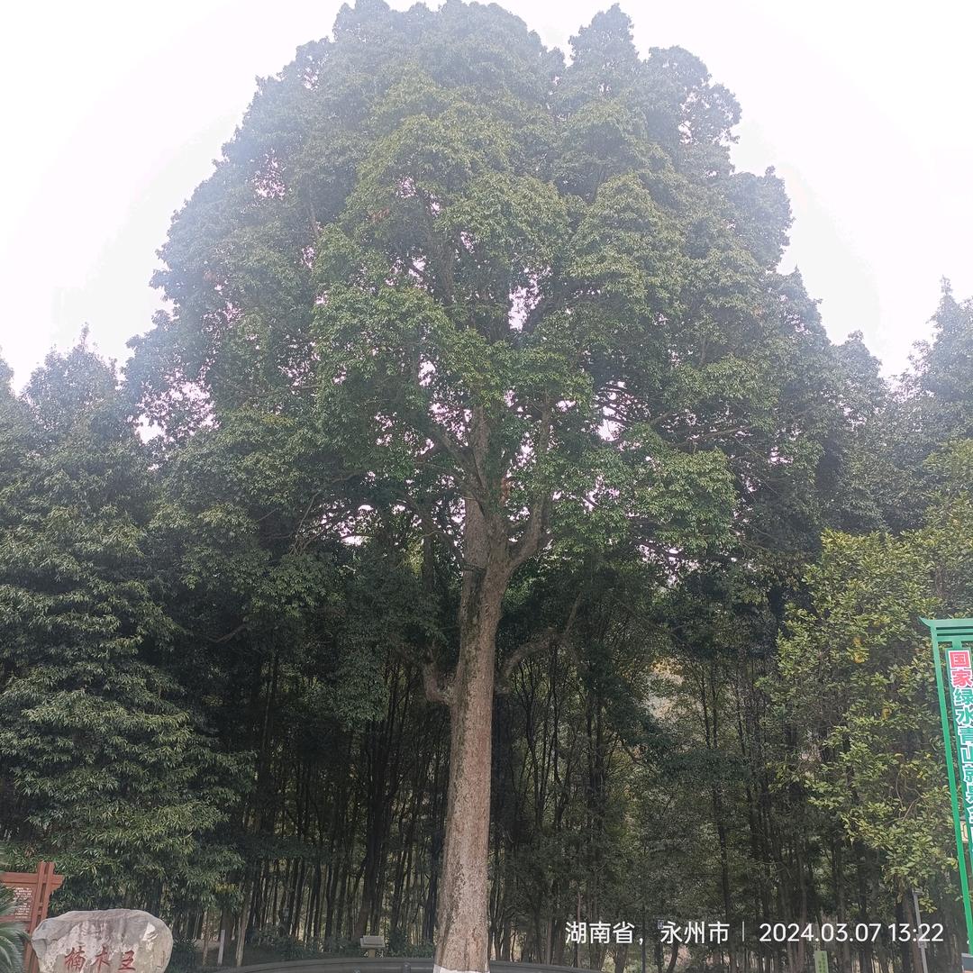 欣豪