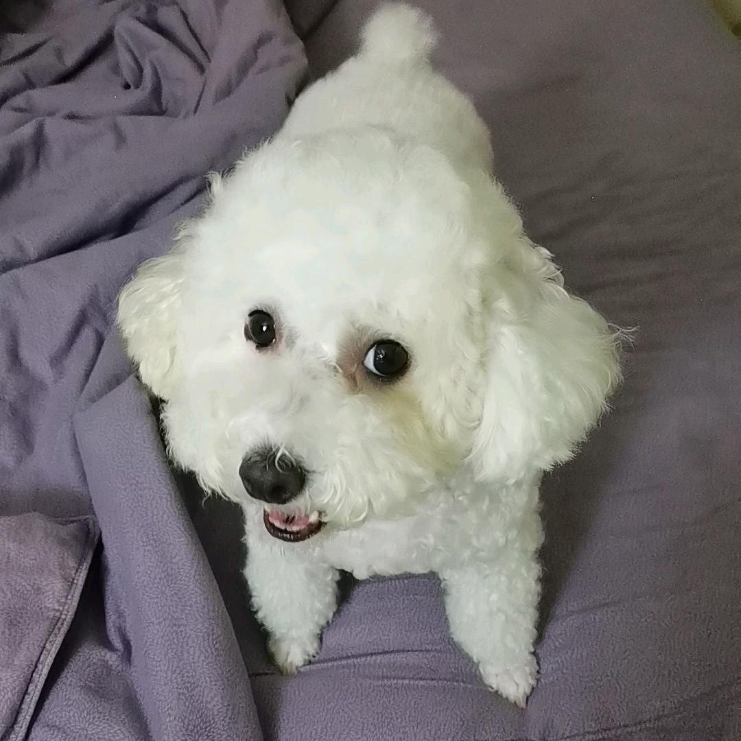 光芒