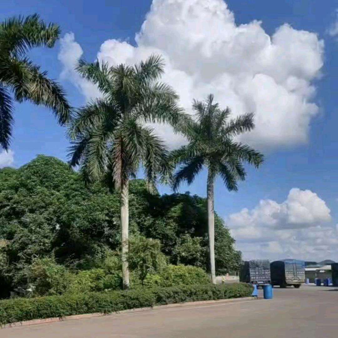 余光
