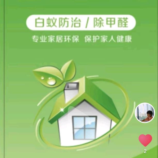 AOX盛太环保白蚁防治