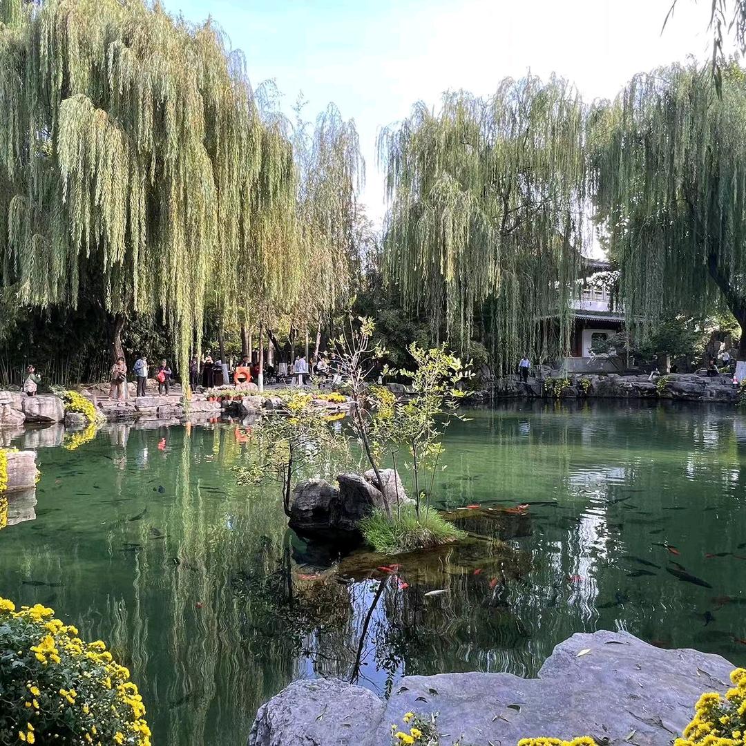 平平淡淡才是dmh5