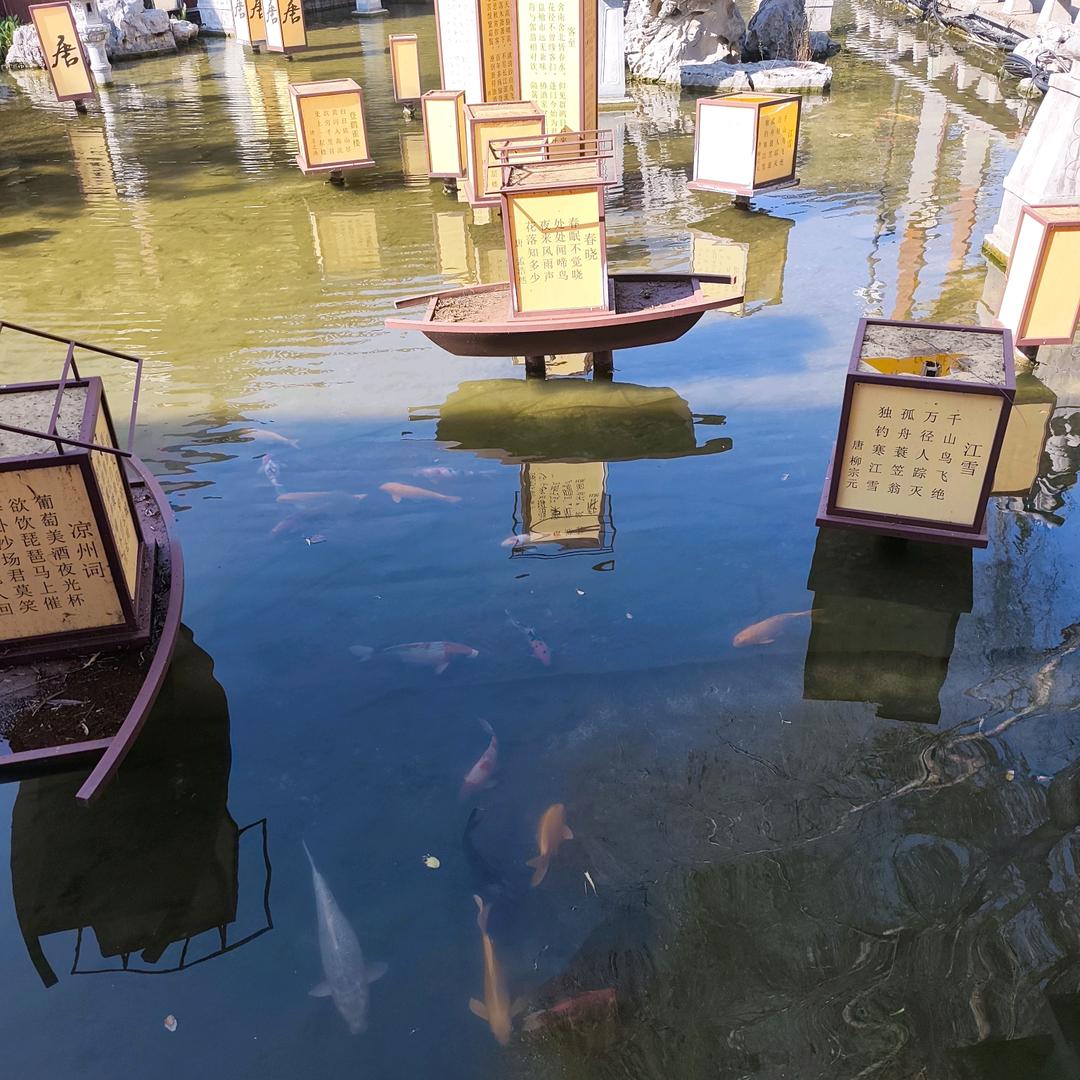 余生请多指教。